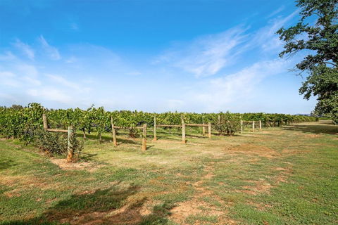 Milawa Vineyard Views - Guesthouse 2 - Darwin Holiday 0