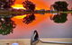 Mildura Golf Resort - thumb 2