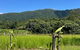 Mission Beach Rural Escape - thumb 2