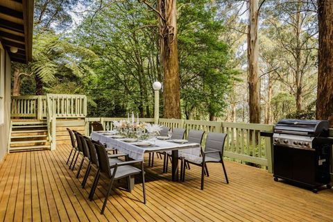 Modern Seednest Treehouse, Forest & Mountain View - Darwin Holiday 1