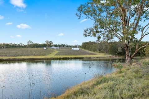 Molly Morgan Vineyard Villa Semillon - Darwin Holiday 2