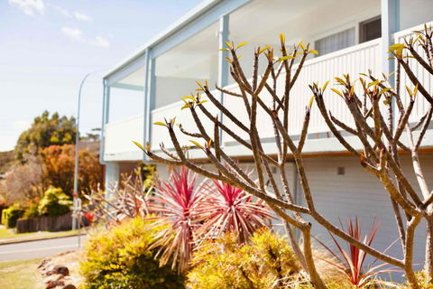 Mollymook Motel - Darwin Holiday 1