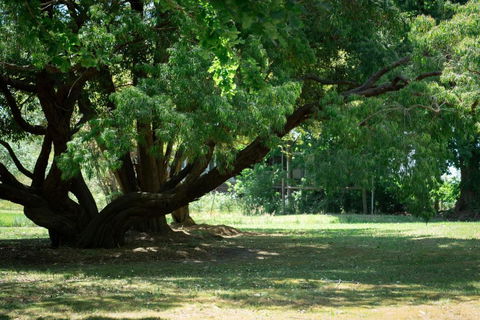 Montrose Manor Of Healing - Darwin Holiday 1