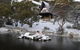 Moonbah Ski Lodge - thumb 0