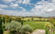 Morning Sun Vineyard - thumb 1