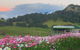 Mountain View Tilba Tilba - Glamping - thumb 2