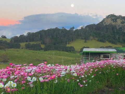 Mountain View Tilba Tilba - Glamping - Darwin Holiday 2