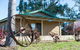Mundic Waterfront Cottages - thumb 1