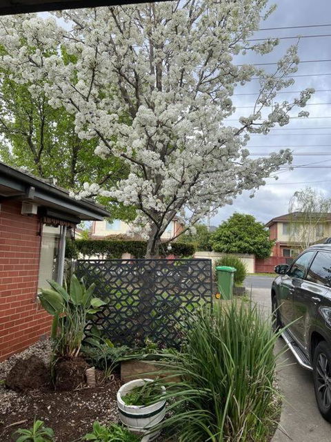 Newly Refurbished House- SuperFast Internet - Darwin Holiday 2