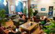 Nomads Sydney - thumb 2