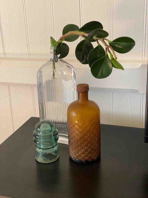 Nice To Have So Much Privacy With No Other Houses Near By - Darwin Holiday 3