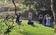 Noosa Eco Retreat - thumb 2