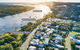 Noosa River Palms - thumb 2