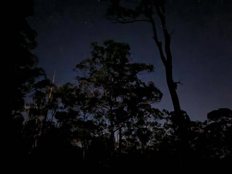 Oakey Creek Country Retreat Kenilworth - Darwin Holiday 3