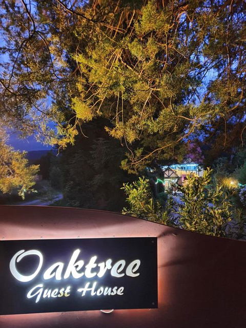 Oaktree Guest House - Darwin Holiday 2
