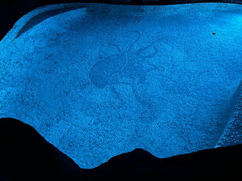 Oasis, In Leafy Whitfield. - Darwin Holiday 1