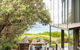 One Hundred Banksias - thumb 0