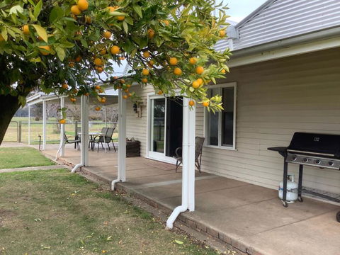 Orange Tree Cottage - Darwin Holiday 0