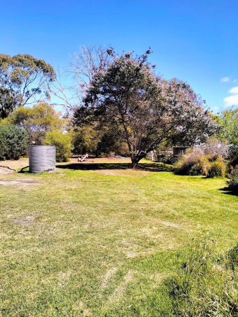 Peaceful Pet Friendly 1 Bedroom Cottage On 1 Acre - Darwin Holiday 3