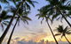 PalmCove DriftAway - thumb 1