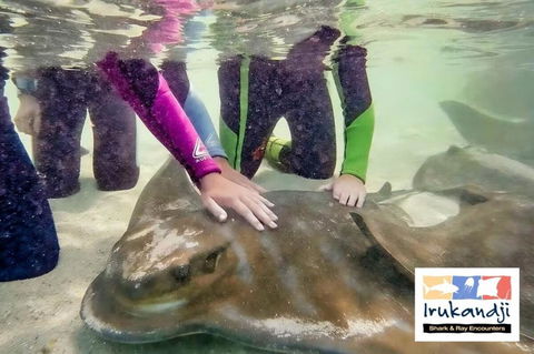 Peace In Paradise Near Nelson Bay- Waterviews, Spa, Adventures - Darwin Holiday 2