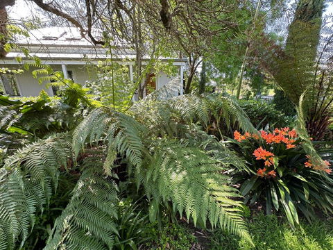 Petschel House - Darwin Holiday 3
