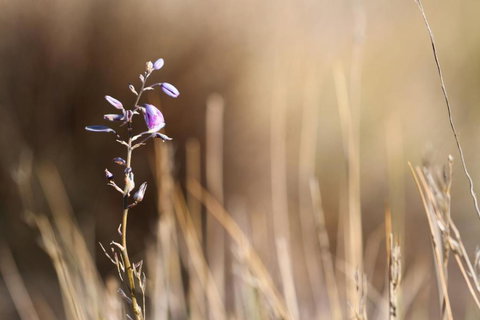 Pichi Richi Park - Darwin Holiday 1