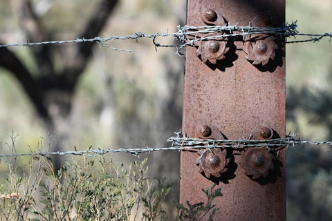 Pichi Richi Park - Darwin Holiday 3