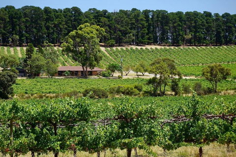 Picturesque Vineyard Farmhouse Nestled On 40-Acres - Darwin Holiday 0
