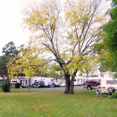 Poplar Tourist Park - Darwin Holiday 2