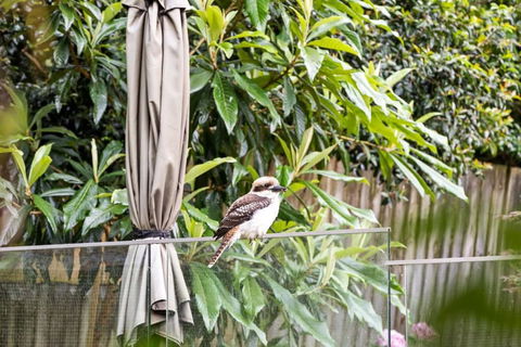 Quaint Queen Room - Central Location At Pymble - Shared Bathroom - Darwin Holiday 1