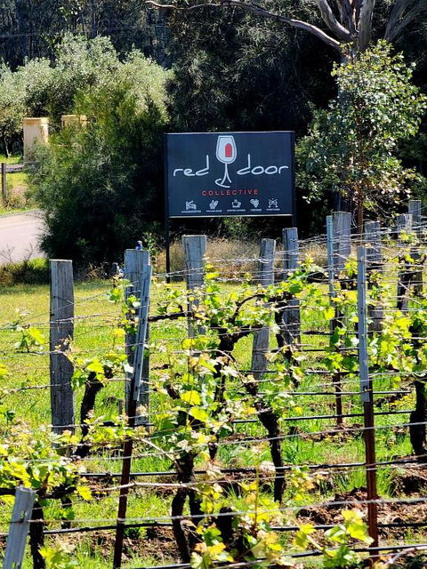 Red Door Collective - RDC Vineyard Estate, Luxury Adult Only Stay - Darwin Holiday 1