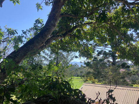 Potters Cottage - Darwin Holiday 3