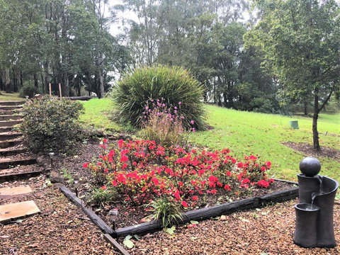 Ravensbourne Escape-Tree Tops - Darwin Holiday 2