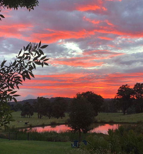 Raynella Alpaca Farmstay - Darwin Holiday 2