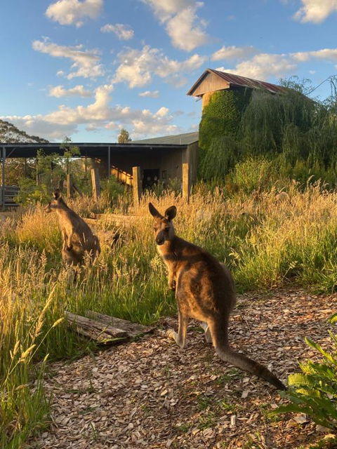 Private Country Escape With Valley Views - Darwin Holiday 2