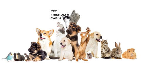 Australian Motor Homes Tourist Park - Darwin Holiday 1