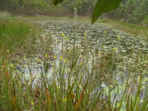 Back To The Bush - Darwin Holiday 3