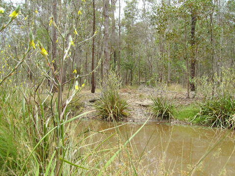 Back To The Bush - Darwin Holiday 2