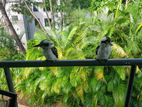 Baden 45 - Rainbow Shores, Beachside Unit, Aircon, Swimming Pool, Tennis Court - Darwin Holiday 3