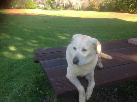 Balingup Jalbrook Cottages - Darwin Holiday 2