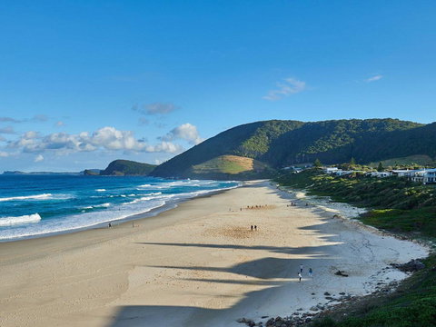 Banksia - Darwin Holiday 1