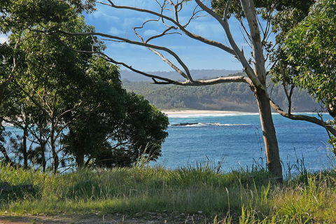 Bannister 49 - Neptune's Way - Darwin Holiday 1