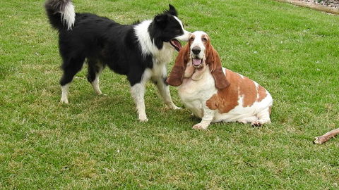 Barklysuites Apartments - Darwin Holiday 2