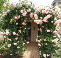 Baudins of Busselton Bed and Breakfast - Darwin Holiday