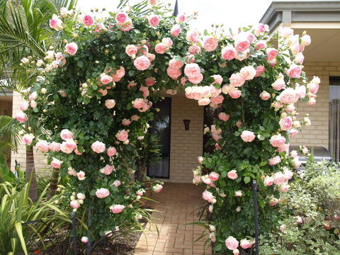 Baudins Of Busselton Bed And Breakfast - Darwin Holiday 0