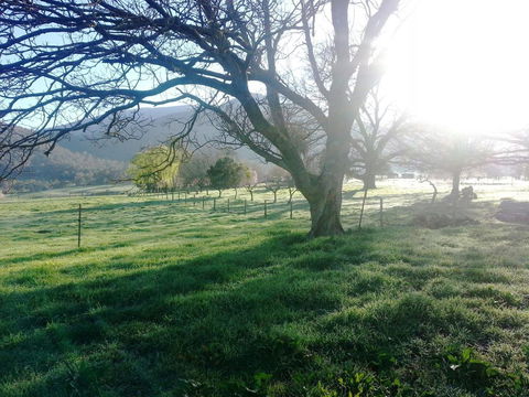 Bay Creek Guest House - Darwin Holiday 0