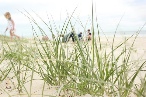 Beachfront At Bribie 2 Puppy Friendly - Darwin Holiday 3