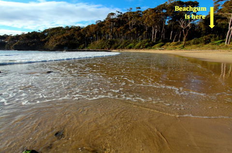 Beachgum - Darwin Holiday 2