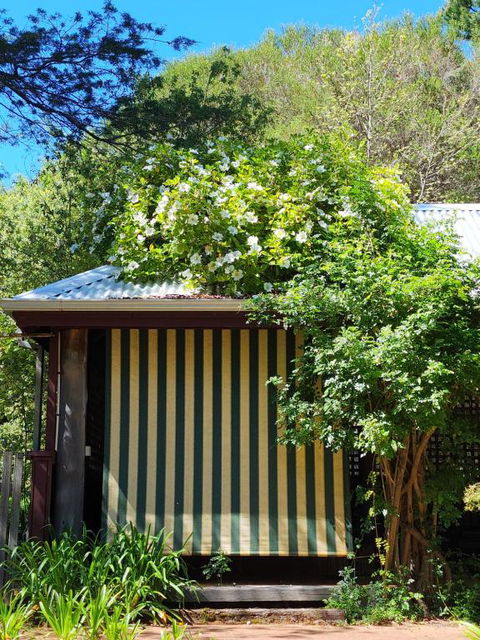 Redgum Hill Country Retreat - Darwin Holiday 3